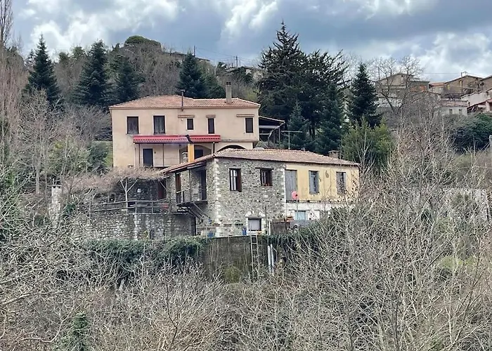 Τελωνείο Βαμβακούς