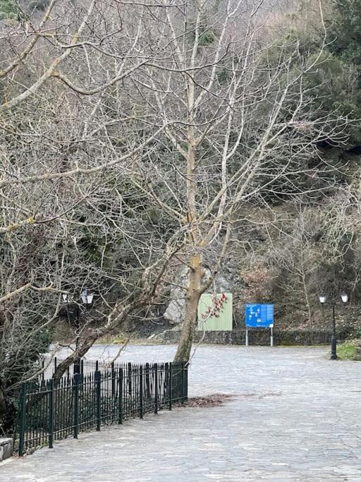 τελωνείο βαμβακούς בית נופש Vamvakou